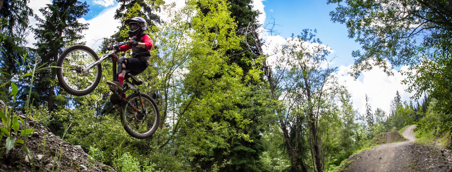 SUMMER BIKE AND FOREST