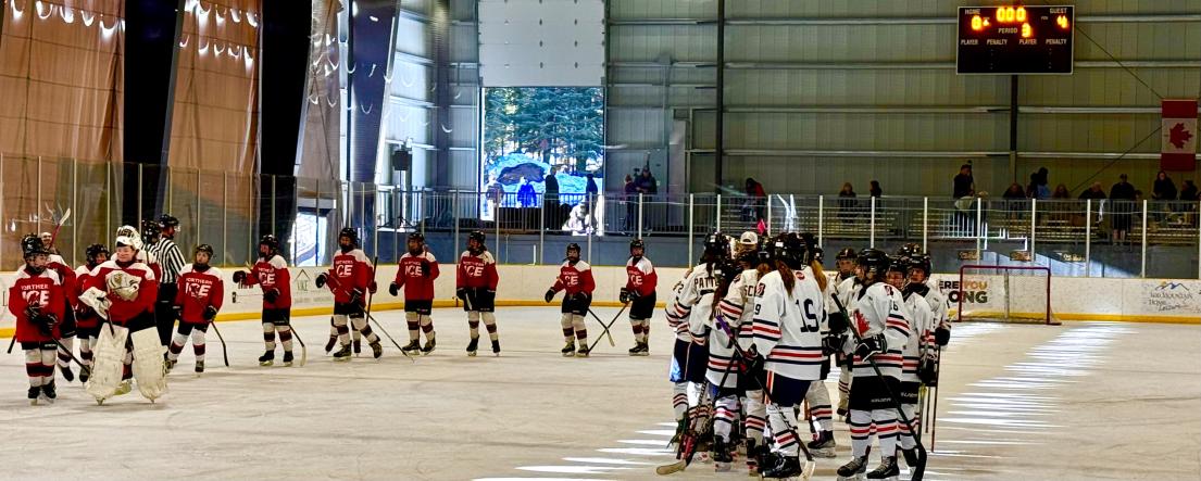 HANDSHAKES AT EH END OF THE GAME.